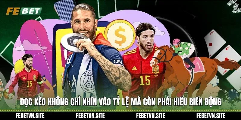 Đọc kèo không chỉ nhìn vào tỷ lệ mà còn phải hiểu biến động